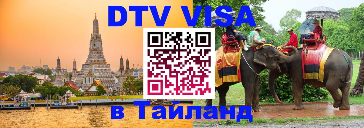 Сколько стоит DTV виза — актуальные цены, оформление даже без документов - 